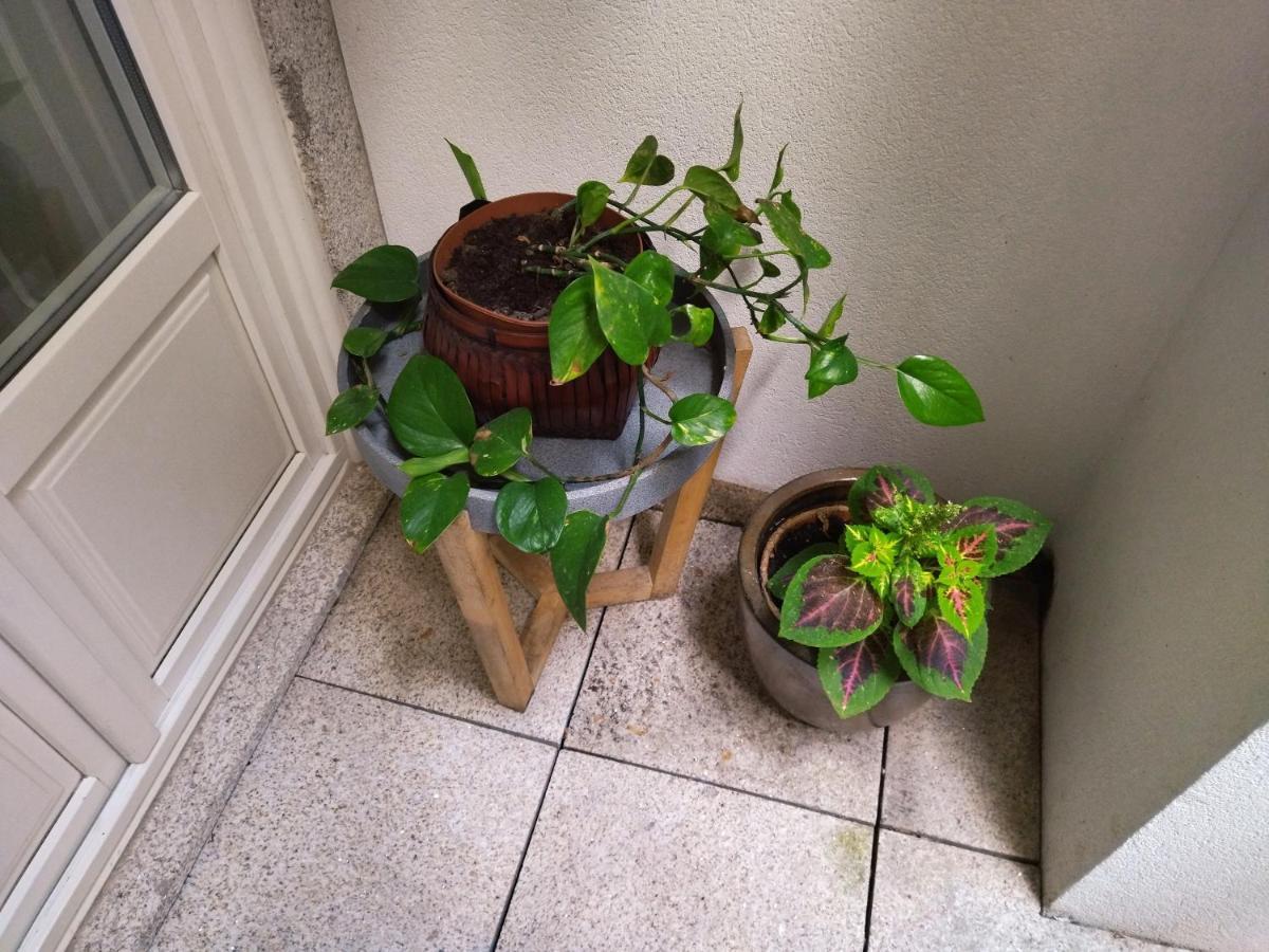 Santa Catarina Patio Apartment - With Washer Machine OOporto Exteriör bild